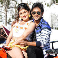 Youthful Love Movie Gallery | Picture 1053421
