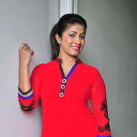Geetanjalai Latest Gallery | Picture 1054482