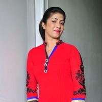 Geetanjalai Latest Gallery | Picture 1054487