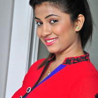 Geetanjalai Latest Gallery | Picture 1054491