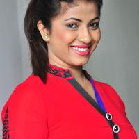 Geetanjalai Latest Gallery | Picture 1054496