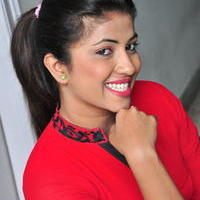 Geetanjalai Latest Gallery | Picture 1054509