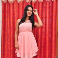 Neha Deshpande at The Bells Movie Press Meet Photos | Picture 1054098