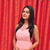 Neha Deshpande at The Bells Movie Press Meet Photos | Picture 1054100