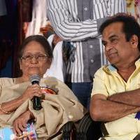 SV Ranga Rao Samagra Cine Jeevitham Book Launch Photos