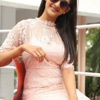 Pooja Jhaveri at Bham Bolenath Movie Success Meet Stills | Picture 979901