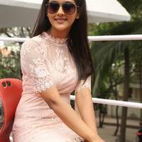 Pooja Jhaveri at Bham Bolenath Movie Success Meet Stills | Picture 979912