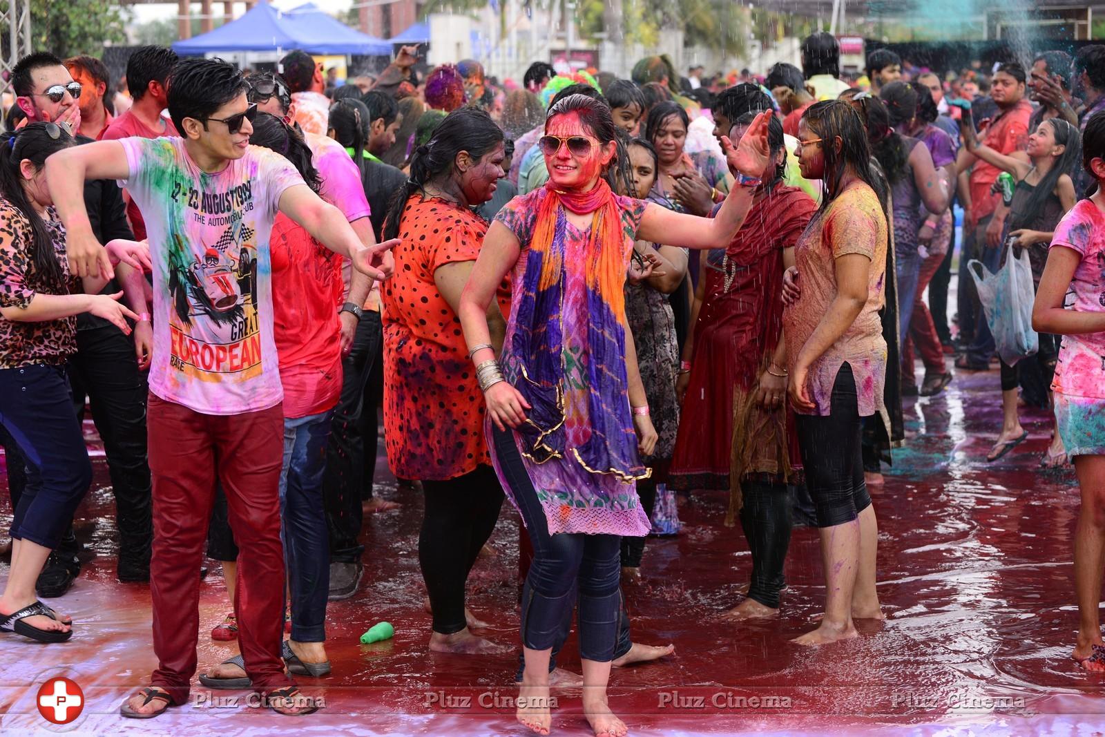 Bang Bang Holi Celebrations 2015 at Novotel Photos | Picture 982799