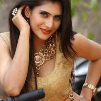 Neha Saxena Latest Gallery | Picture 983271
