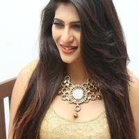 Neha Saxena Latest Gallery | Picture 983322