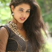 Pavani Latest Gallery | Picture 985683