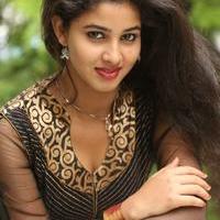Pavani Latest Gallery | Picture 985691
