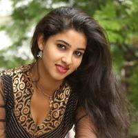 Pavani Latest Gallery | Picture 985696