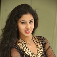 Pavani Latest Gallery | Picture 985728