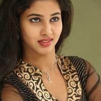 Pavani Latest Gallery | Picture 985731