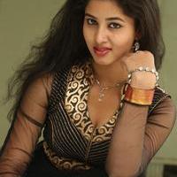 Pavani Latest Gallery | Picture 985732