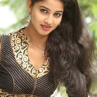 Pavani Latest Gallery | Picture 985745