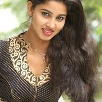 Pavani Latest Gallery | Picture 985746