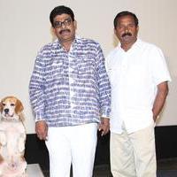 Tommy Movie Release Press Meet Photos