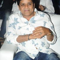Ali - Son of Satyamurthy Movie Audio Launch Function Stills | Picture 992131