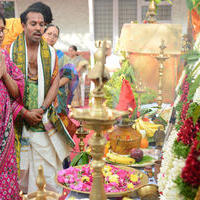 Sushanth New Movie Opening Stills | Picture 996647