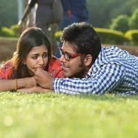 365 Days Movie Gallery | Picture 996769