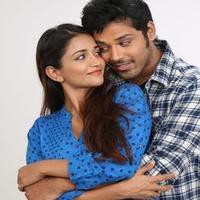 365 Days Movie Gallery | Picture 996774