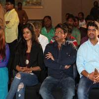365 Days Movie Trailer Launch Photos | Picture 997382