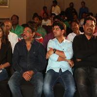 365 Days Movie Trailer Launch Photos | Picture 997399