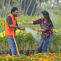 Romance with Finance Movie Gallery | Picture 997267