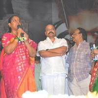 Rudhramadevi Audio Launch at Warangal Photos | Picture 999723
