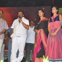 Rudhramadevi Audio Launch at Warangal Photos | Picture 999738