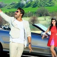 Son of Satyamurthy Movie New Gallery | Picture 1006445
