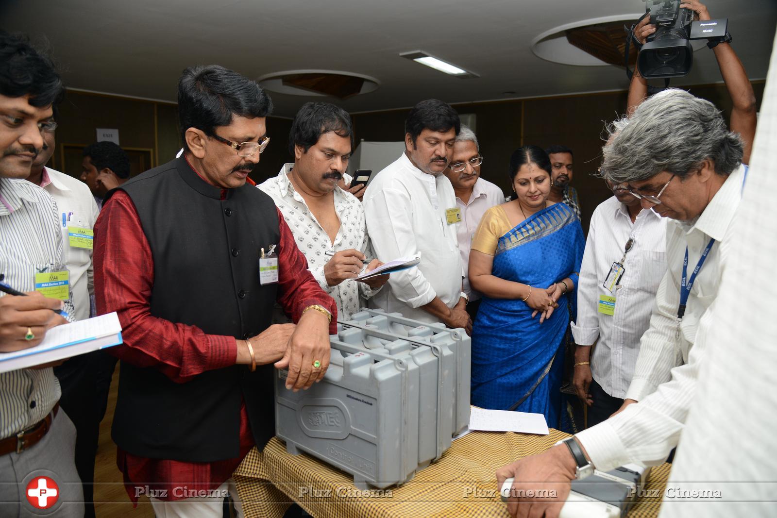 Maa Elections Polling Photos | Picture 1004551