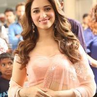 Tamanna Latest Cute Gallery | Picture 1005018