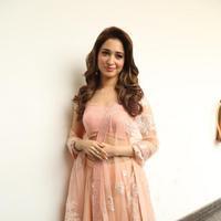 Tamanna Latest Cute Gallery | Picture 1005045