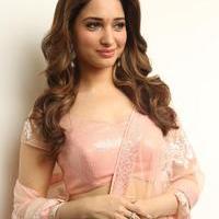 Tamanna Latest Cute Gallery | Picture 1005047