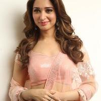 Tamanna Latest Cute Gallery | Picture 1005048