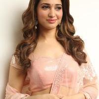 Tamanna Latest Cute Gallery | Picture 1005051