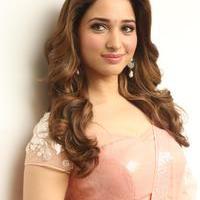 Tamanna Latest Cute Gallery | Picture 1005054