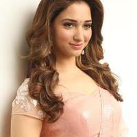 Tamanna Latest Cute Gallery | Picture 1005055