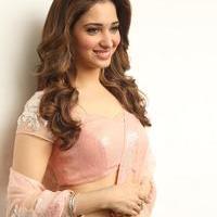 Tamanna Latest Cute Gallery | Picture 1005061