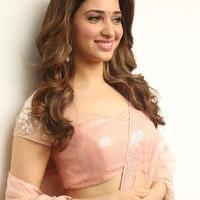 Tamanna Latest Cute Gallery | Picture 1005066