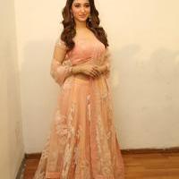 Tamanna Latest Cute Gallery | Picture 1005084
