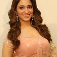 Tamanna Latest Cute Gallery | Picture 1005095