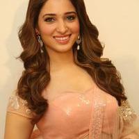 Tamanna Latest Cute Gallery | Picture 1005096