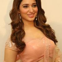 Tamanna Latest Cute Gallery | Picture 1005098