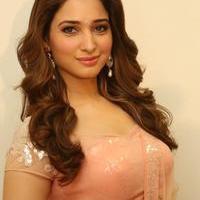 Tamanna Latest Cute Gallery | Picture 1005100