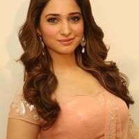 Tamanna Latest Cute Gallery | Picture 1005101