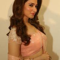 Tamanna Latest Cute Gallery | Picture 1005115